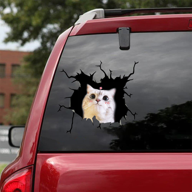 [sk0377-snf-tnt] Cute Cats Crack Car Sticker Cats Lover - Camellia Print