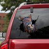 [sk1598-snf-tnt]-mustang-horse-crack-sticker-cattle-lover