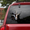 [sk1281-snf-tpa]-alpine-goat-crack-sticker-cattle-lover