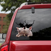 [sk1225-snf-tpa]-funny-pig-friends-crack-sticker-cattle-lover