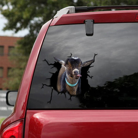 [sk1283-snf-tpa]-pygmy-goat-crack-sticker-cattle-lover