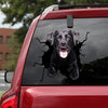 [da0047-snf-tnt]-labrador-crack-car-sticker-dogs-lover