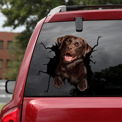 [da0051-snf-tnt]-labrador-crack-car-sticker-dogs-lover