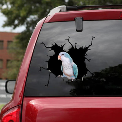 [bv0083-snf-tnt]-parrot-crack-car-sticker-parrot-lover