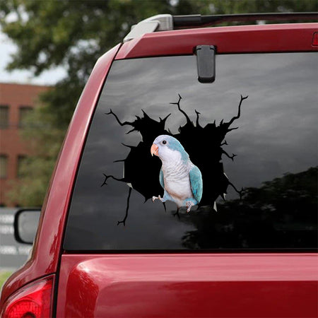 [bv0083-snf-tnt]-parrot-crack-car-sticker-parrot-lover