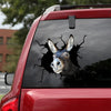 [sk1216-snf-lad]-donkey-crack-sticker-cattle-lover