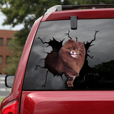 [ld0215-snf-lad]-pomeranian-crack-car-sticker-dogs-lover