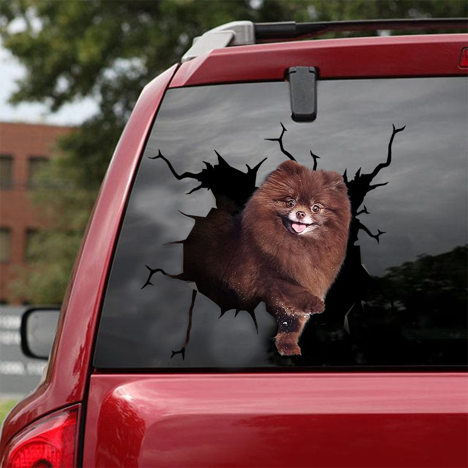 [ld0215-snf-lad]-pomeranian-crack-car-sticker-dogs-lover