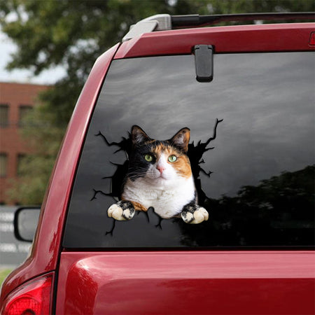 Calico Cat Crack Dad Decal Happy Computer Stickers Beauty And The Beast Rose