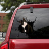 [sk1489-snf-tpa]-tuxedo-cat-crack-sticker-cats-lover