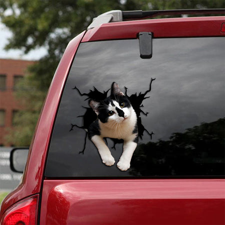 [sk1491-snf-tpa]-tuxedo-cat-crack-sticker-cats-lover