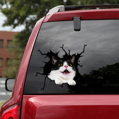 [sk1493-snf-tpa]-tuxedo-cat-crack-sticker-cats-lover