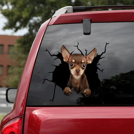 Chihuahua Crack Bone Sticker Super Cute Car Sticker Anniversary Gifts For Her