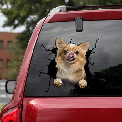 [da0064-snf-tnt]-chihuahua-crack-car-sticker-dogs-lover