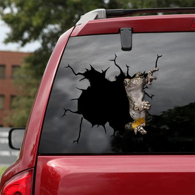 [ld0246-snf-lad]-gray-tree-frog-crack-car-sticker-