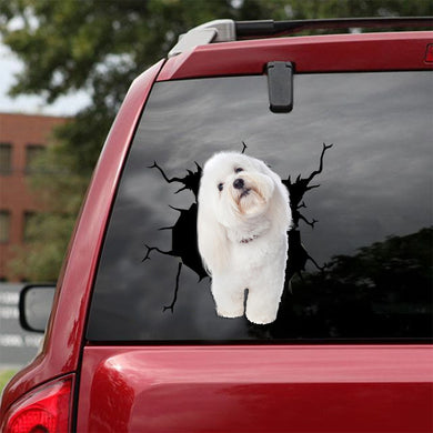 [ld0983-snf-lad]-coton-de-tulear-crack-car-sticker-dogs-lover