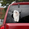 [ld0983-snf-lad]-coton-de-tulear-crack-car-sticker-dogs-lover
