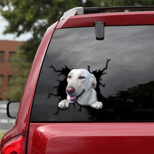[sk1358-snf-tpa]-labrador-retriever-crack-sticker-dogs-lover