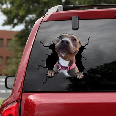[sk1422-snf-tpa]-pitbull-crack-sticker-dogs-lover