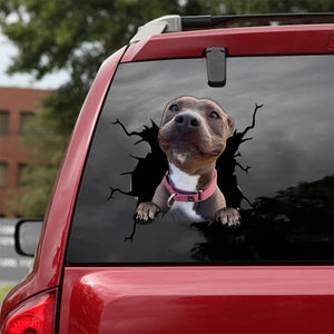 [sk1422-snf-tpa]-pitbull-crack-sticker-dogs-lover