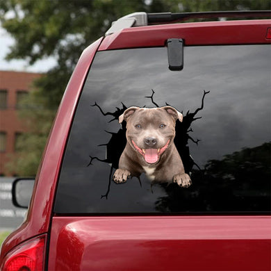 [sk1420-snf-tpa]-pitbull-crack-sticker-dogs-lover