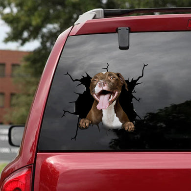 [sk1418-snf-tpa]-pitbull-crack-sticker-dogs-lover