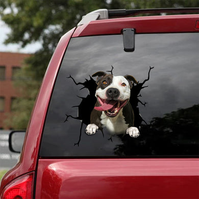 [sk1417-snf-tpa]-pitbull-crack-sticker-dogs-lover