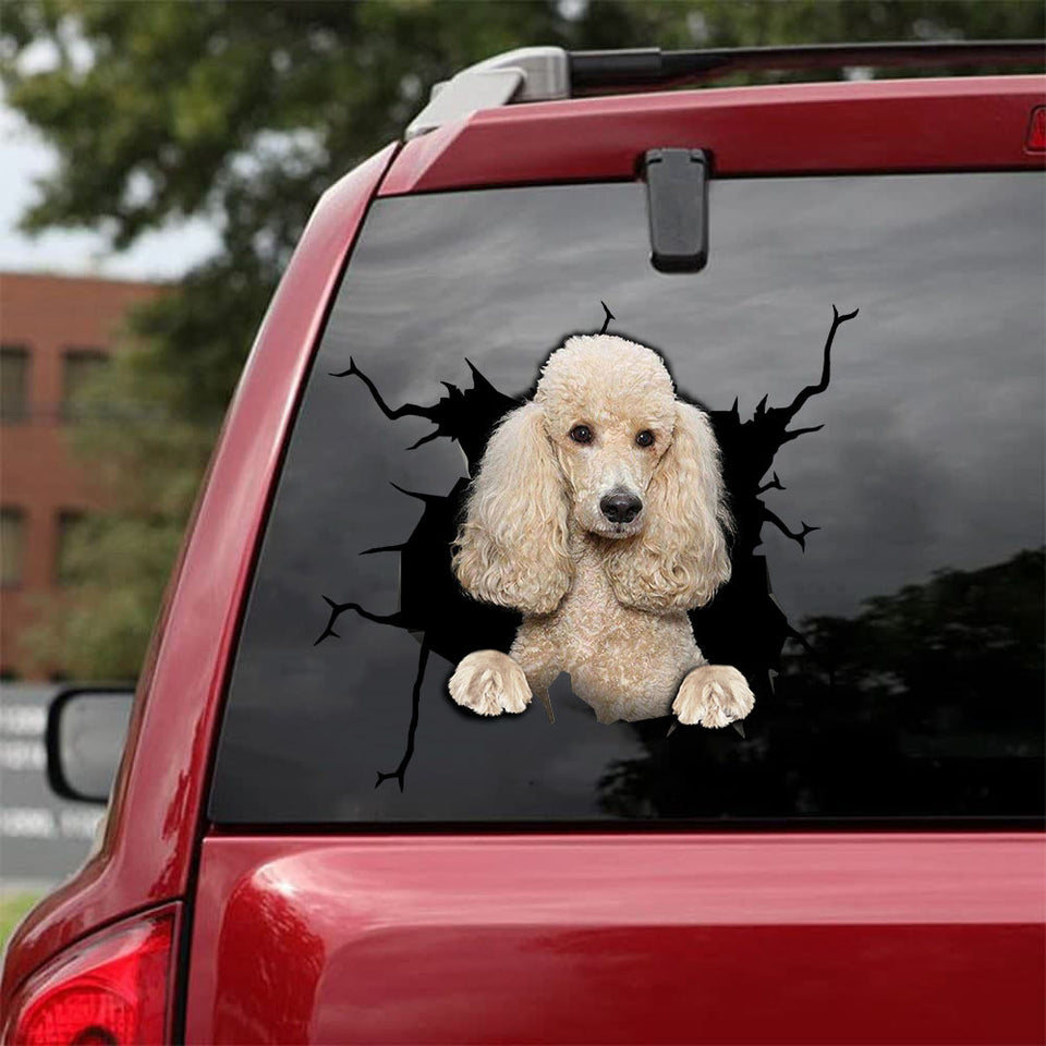 [da0090-snf-tnt]-poodle-camellia-crack-car-sticker-cats-lover