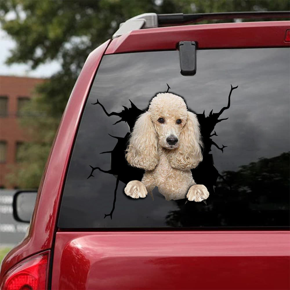 [da0090-snf-tnt]-poodle-camellia-crack-car-sticker-cats-lover