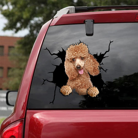 [da0091-snf-tnt]-poodle-camellia-crack-car-sticker-cats-lover