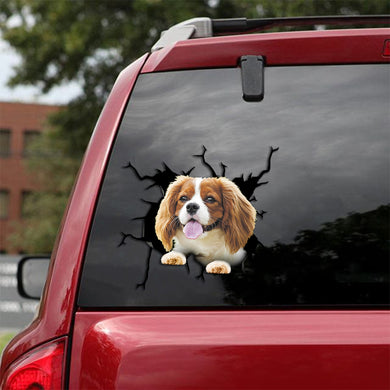 [th0128-snf-tpa]-cavalier-king-charles-spaniel-crack-car-sticker-dogs-lover