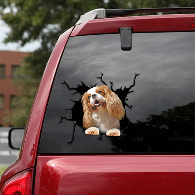 [th0131-snf-tpa]-cavalier-king-charles-spaniel-crack-car-sticker-dogs-lover