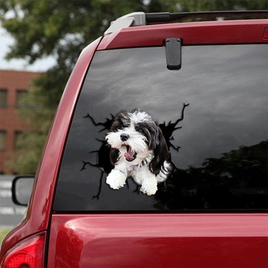 [th0124-snf-tpa]-maltipoo-crack-car-sticker-dogs-lover