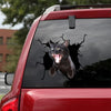 [da0587-snf-tnt]-black-cat-crack-car-sticker-cats-lover