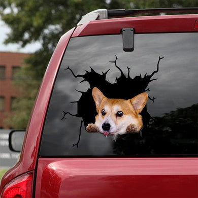 [sk1765-snf-tnt]-welsh-corgi-crack-sticker-dogs-lover