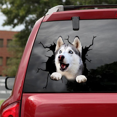 [ld0307-snf-lad]-british-shorthair-crack-car-sticker-dogs-lover