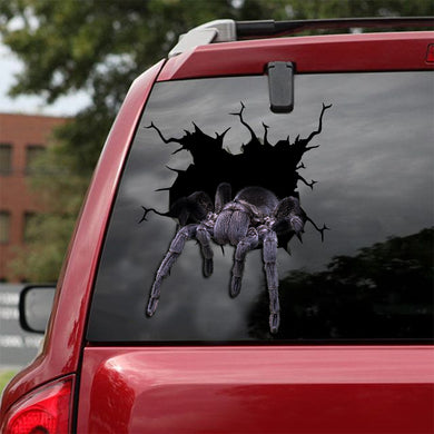 [ld0266-snf-lad]-brazilian-black-crack-car-sticker-tarantula-lover