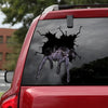 [ld0266-snf-lad]-brazilian-black-crack-car-sticker-tarantula-lover