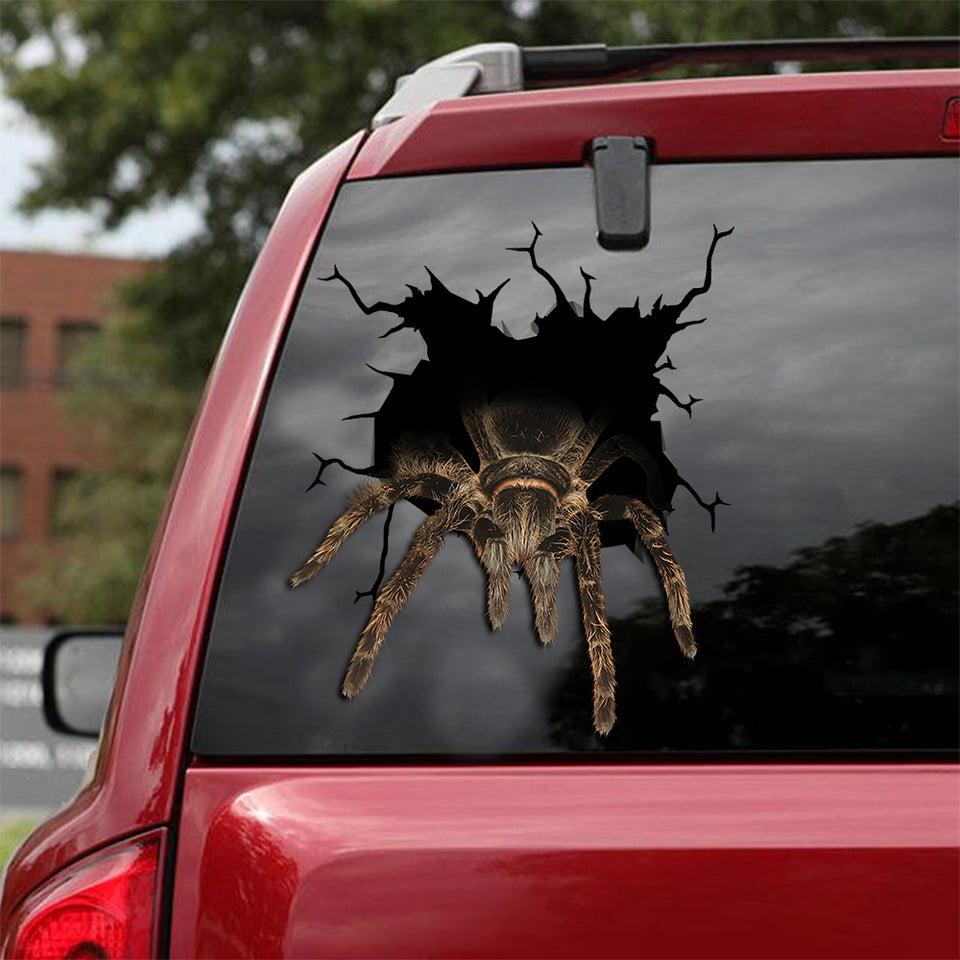 [ld0268-snf-lad]-honduran-curly-hair-crack-car-sticker-tarantula-lover