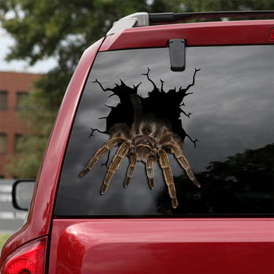[ld0271-snf-lad]-chilean-rose-crack-car-sticker-tarantula-lover