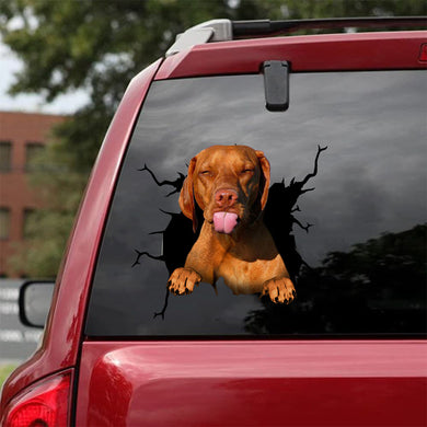 [da0267-snf-lad]-vizsla-crack-car-sticker-dogs-lover