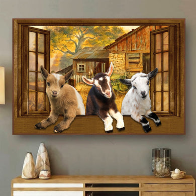 [ld0725-snf-tpa]-nigerian-dwarf-poster-goats-lover