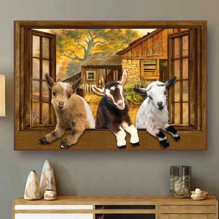 [ld0725-snf-tpa]-nigerian-dwarf-poster-goats-lover