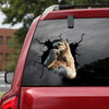 [sk1388-snf-lad]-sloth-crack-sticker-animals-lover