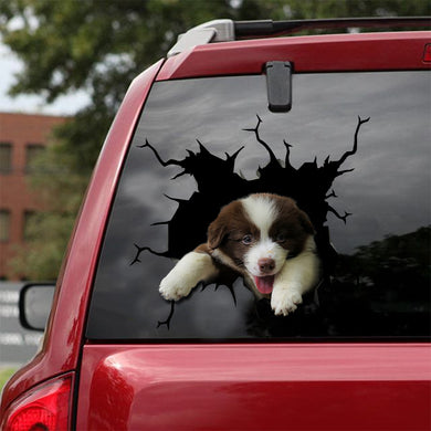 [sk1624-snf-tnt]-border-collie-crack-car-sticker-dogs-lover