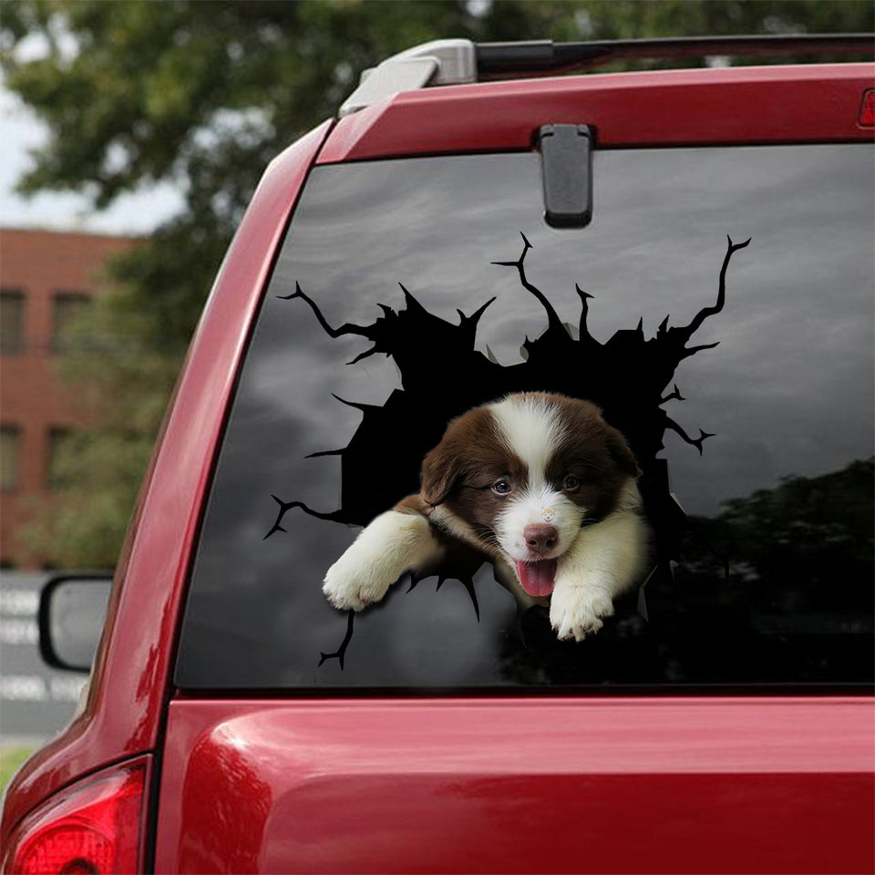 [sk1624-snf-tnt]-border-collie-crack-car-sticker-dogs-lover