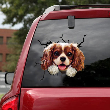 [ld0535-snf-lad]-cavalier-king-charles-spaniel-crack-car-sticker-dogs-lover