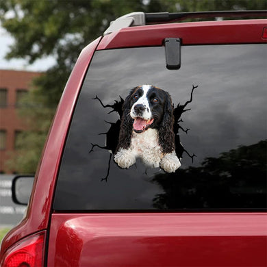 [ld0496-snf-lad]-english-springer-spaniel-crack-car-sticker-dogs-lover