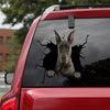 [da0087-snf-tnt]-great-dane-crack-car-sticker-dogs-lover