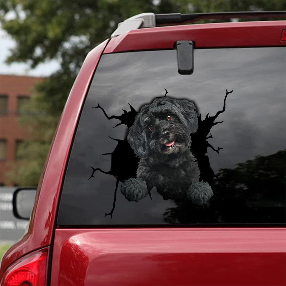 [da0086-snf-tnt]-havanese-crack-car-sticker-dogs-lover